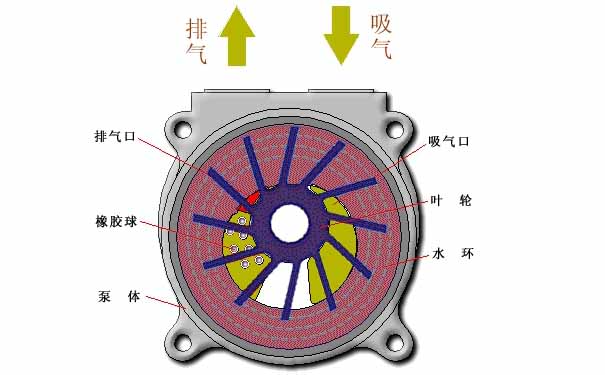 水環(huán)真空泵,，水環(huán)式真空泵工作原理